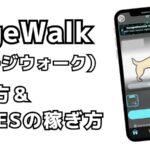 DogeWalk（ドージウォーク）の始め方－「犬」NFTとの散歩で仮想通貨を稼ぐMove to Earnゲーム