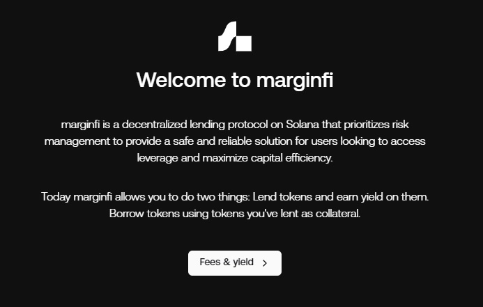 marginfi（マージンファイ）のプロトコル概要の表示