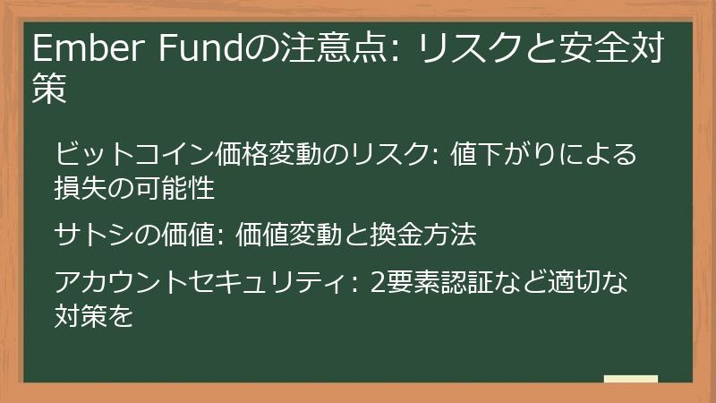 Ember Fund（エンバー・ファンド）の注意点: リスクと安全対策