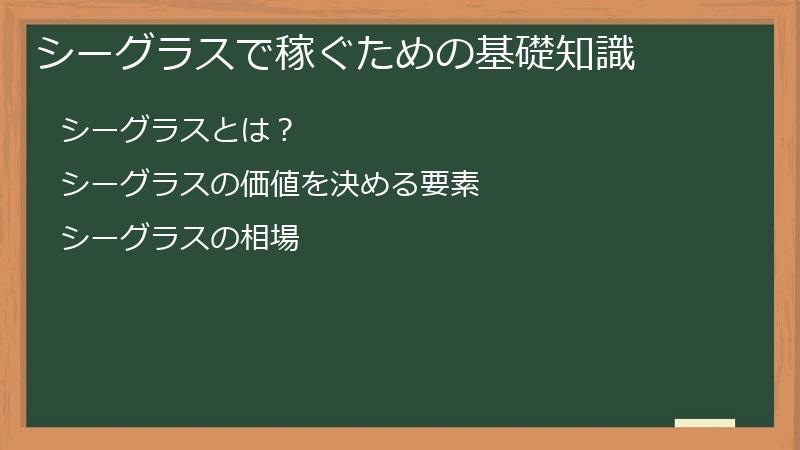 シーグラスで稼ぐための基礎知識