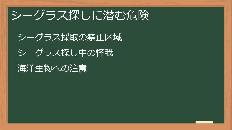 シーグラス探しに潜む危険