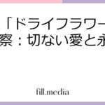 優里「ドライフラワー」歌詞考察：切ない愛と永遠の別れ