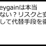 Honeygainは本当に危ない？リスクと安全性、そして代替手段を徹底解説！