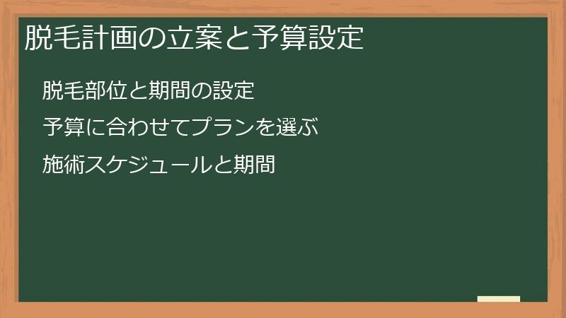 脱毛計画の立案と予算設定