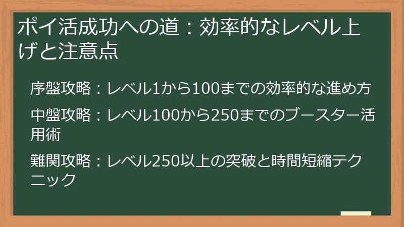 ポイ活成功への道：効率的なレベル上げと注意点