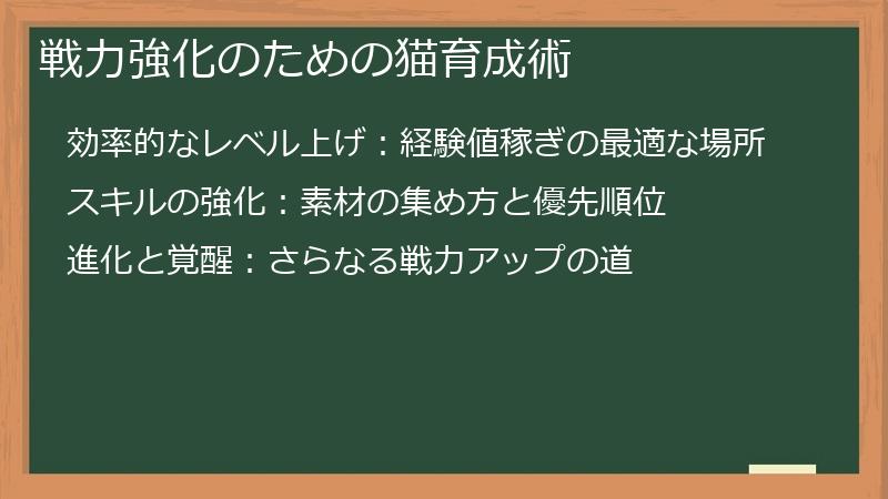 戦力強化のための猫育成術